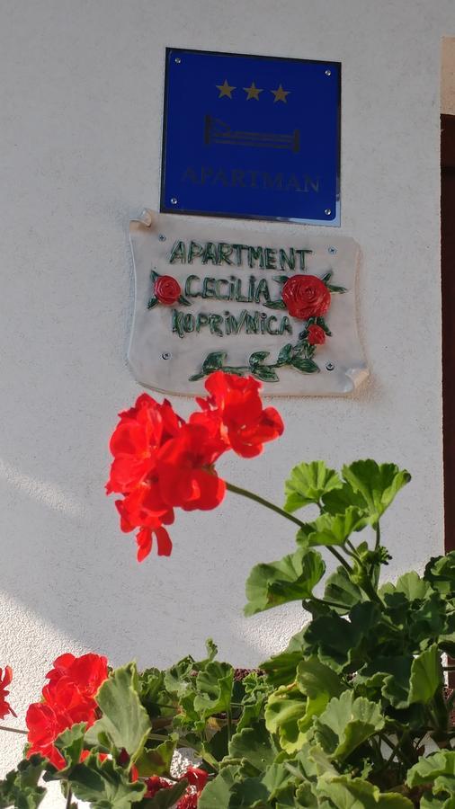 Apartment Cecilia โคปริฟนิซา ภายนอก รูปภาพ